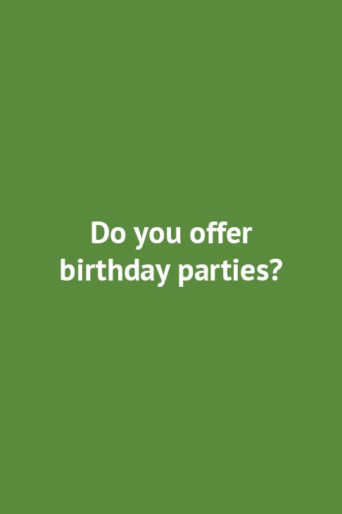 Do you offer birthday parties?