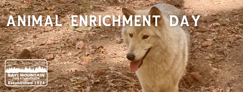 BMP Program Headers (845 x 321 px) (12)