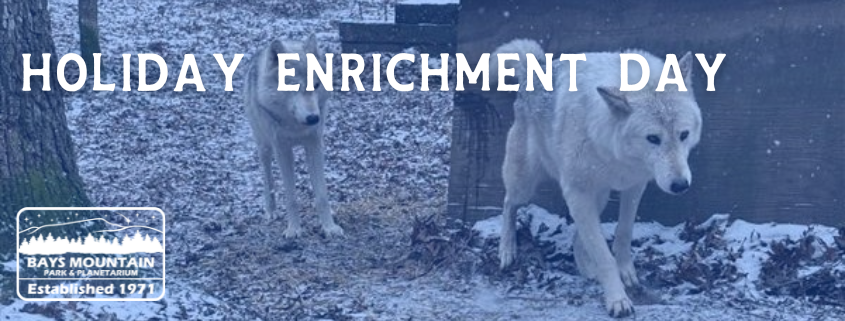 BMP Program Headers (845 x 321 px) (13)