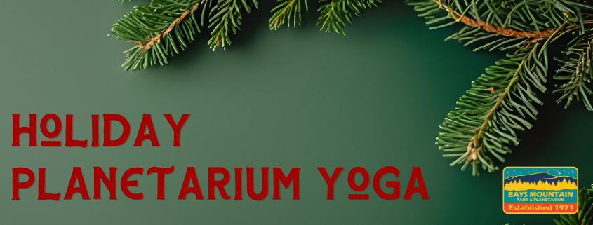 BMP Program Headers (845 x 321 px)