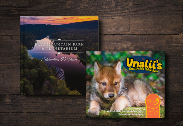 Book Bundle