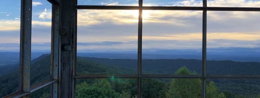 View from Bays Mountain Park fire tower