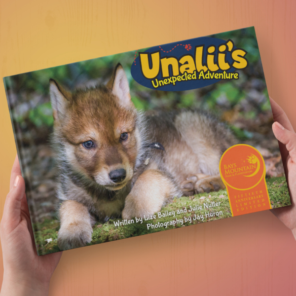 Children's Book